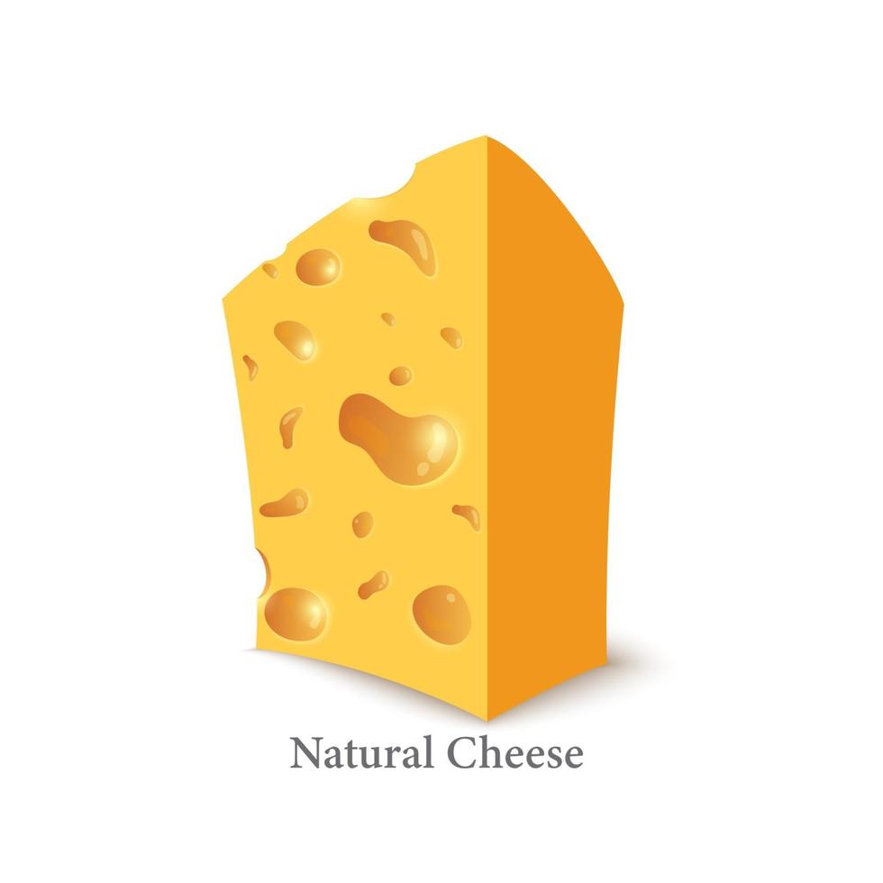 queso holandés low poly. quesos sólidos frescos, nutritivos y sabrosos vector