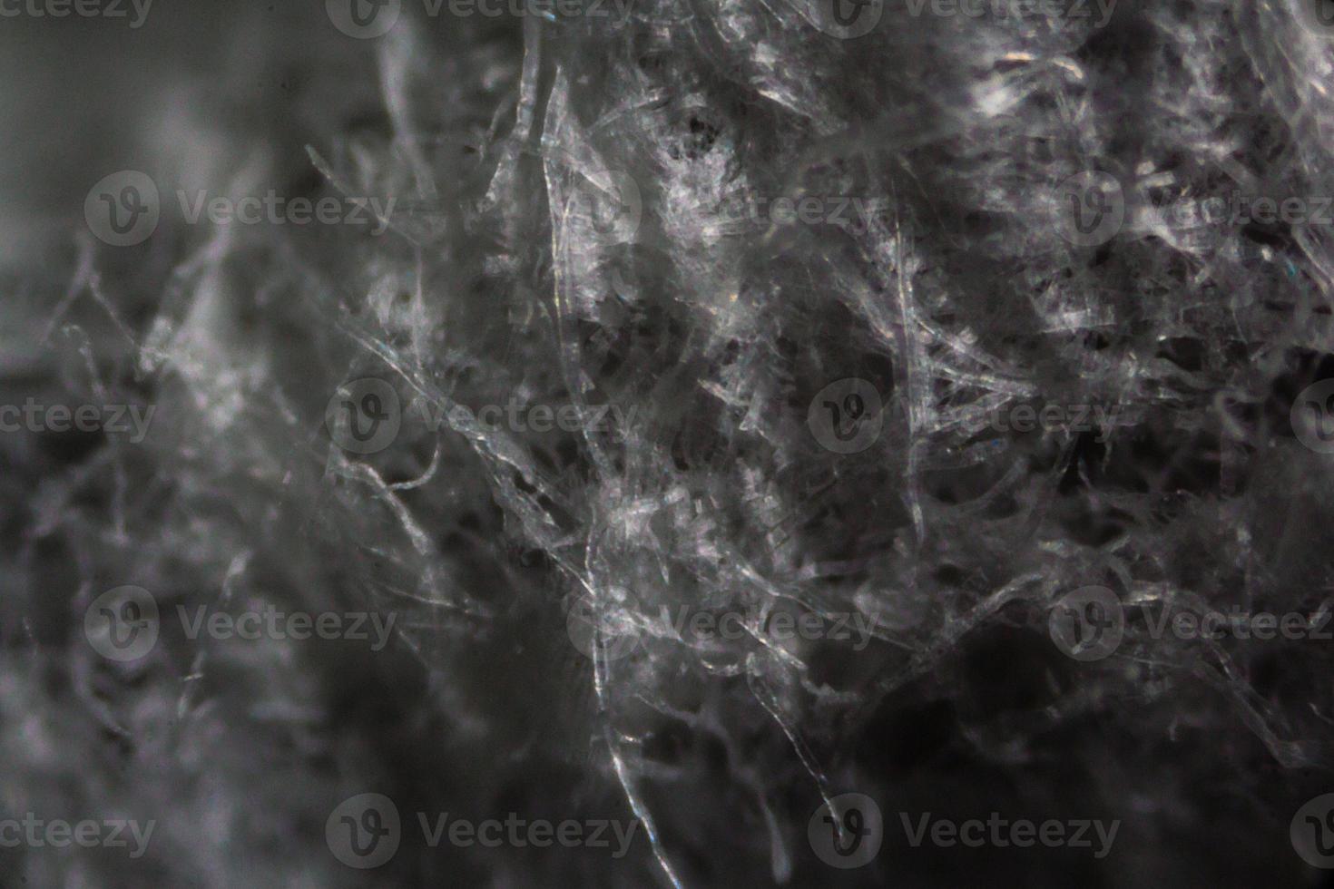 fibras de papel tisú bajo el microscopio foto