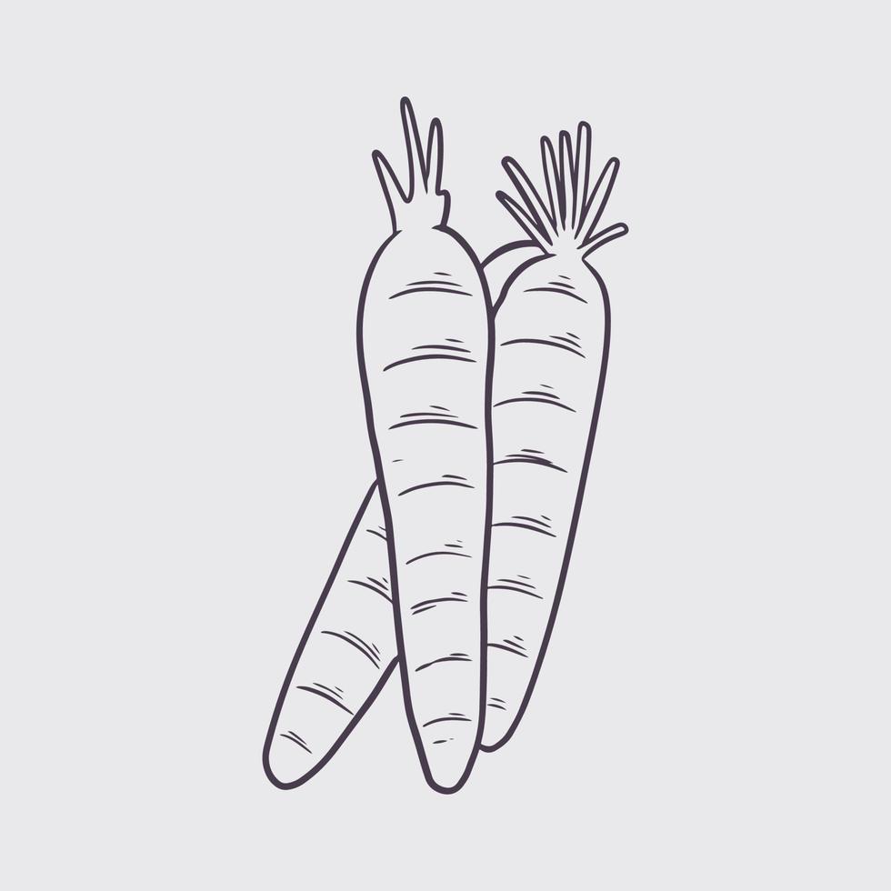 Hand drawn carrot. Organic eco vegetable food background. vector