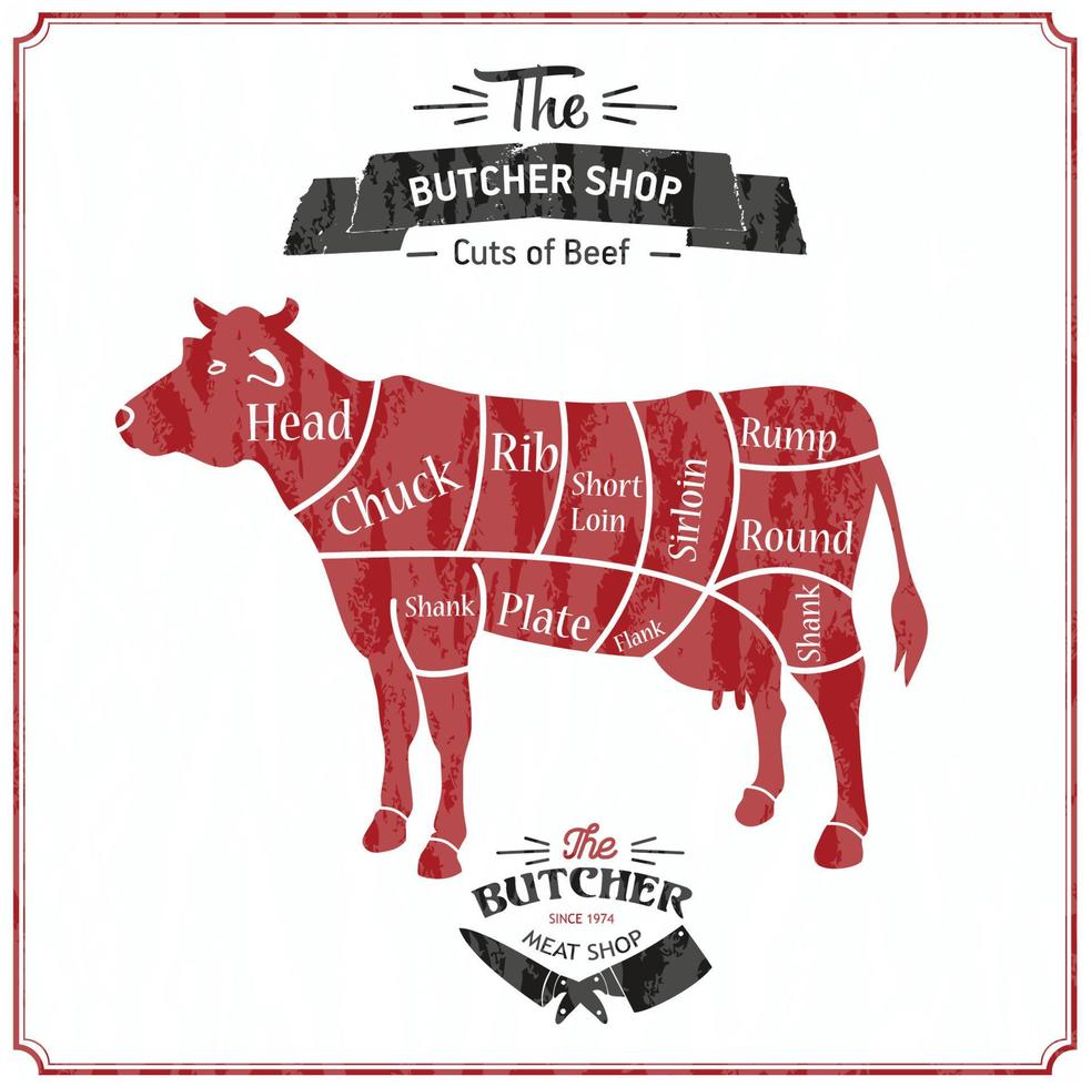Vector Beef Cuts Diagram in vintage style