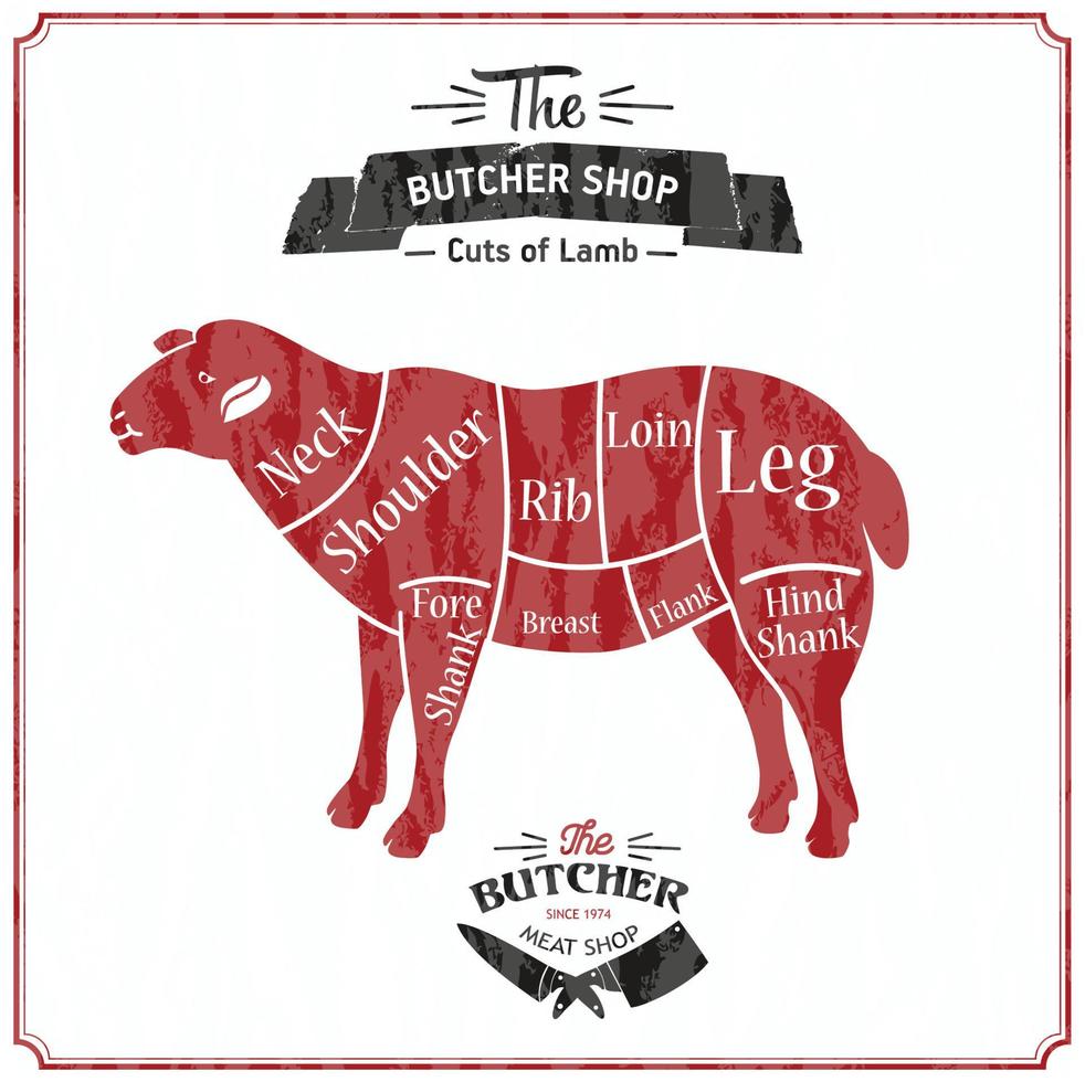 Lamb or mutton cuts diagram. Butcher shop. Vector illustration