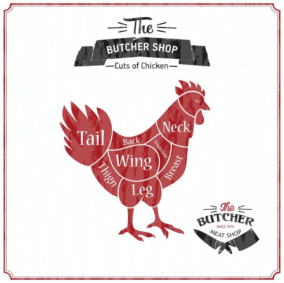 Cut of meat set. Poster Butcher diagram and scheme - Chicken. Vector illustration