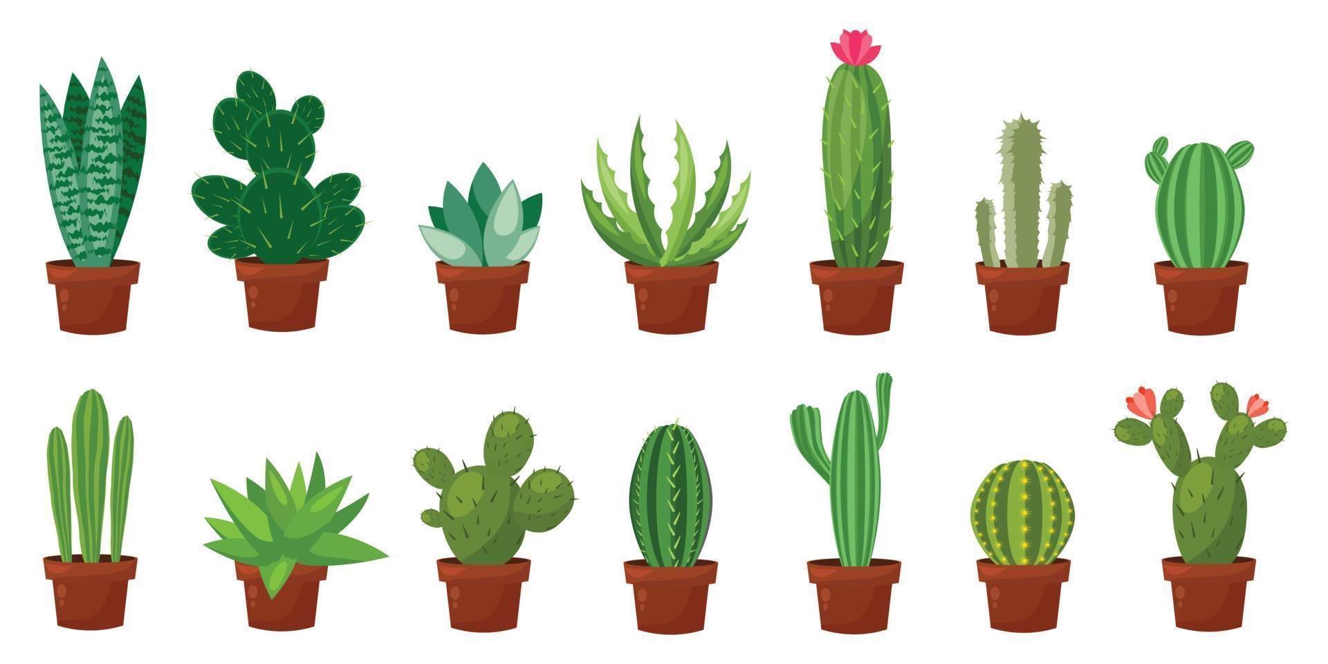 Horizontal banner set of desert, room green cactus. Flat, cartoon style. Vector illustration white background. Element design.