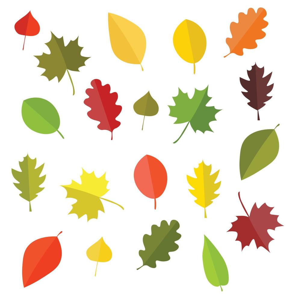 Autumn leaf set vector
