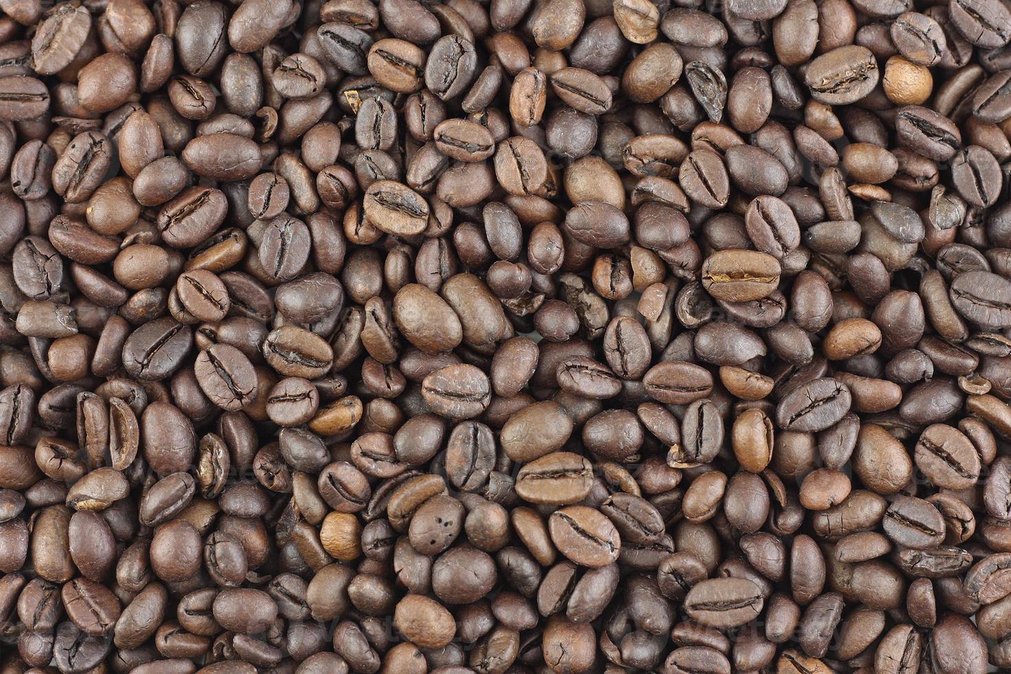 Coffee beans texture photo