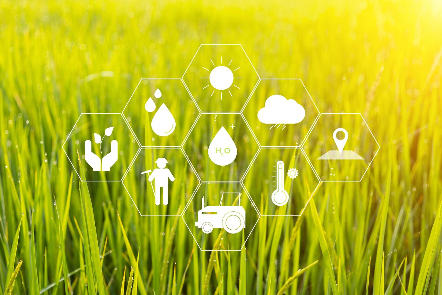 modern agriculture concept technology smart farming icon on rice background  3706989 Stock Photo at Vecteezy
