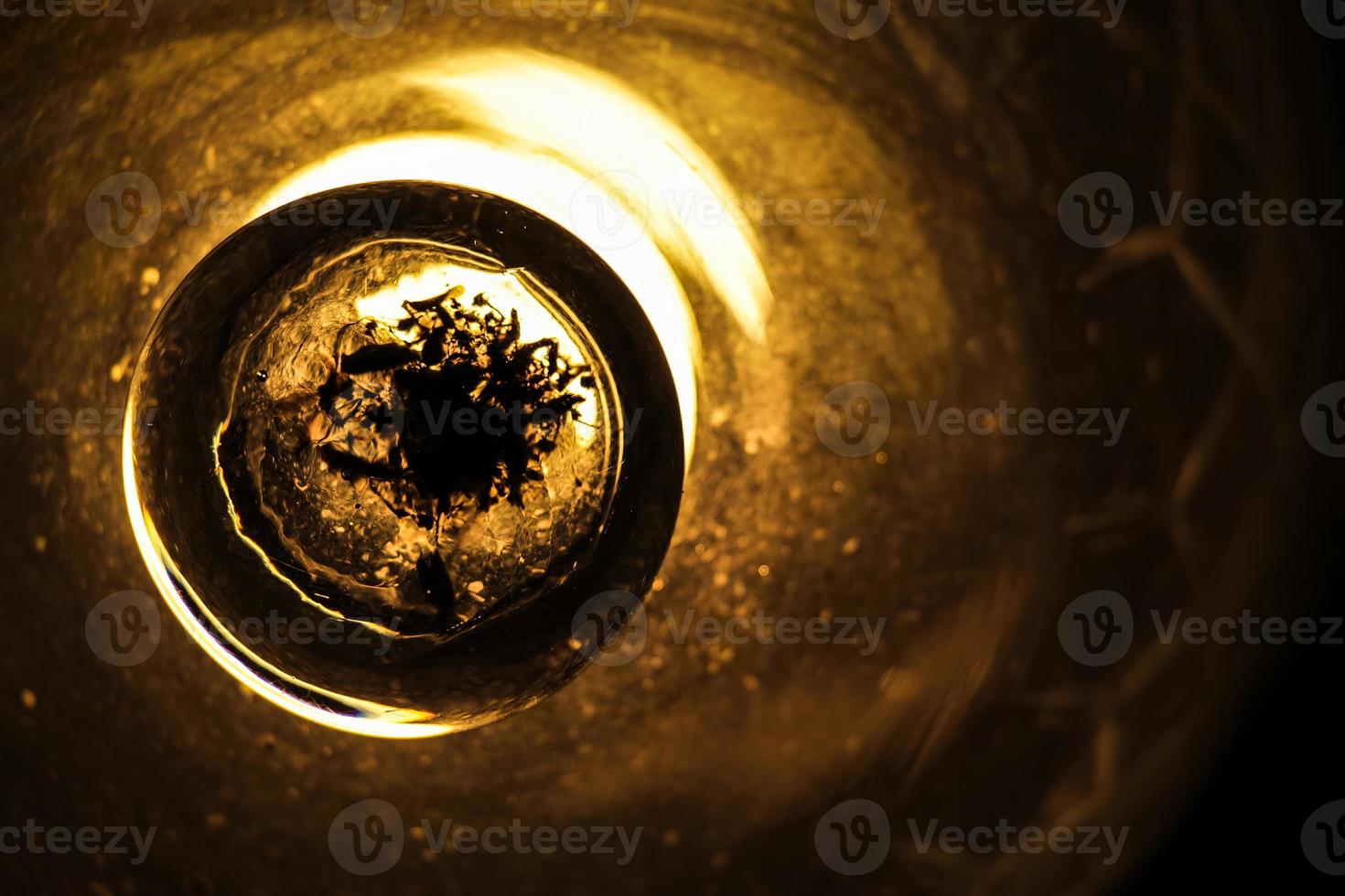 Close up of an antique orange glass lamp. There are dead bugs at the bottom of the lamp. Black background. photo