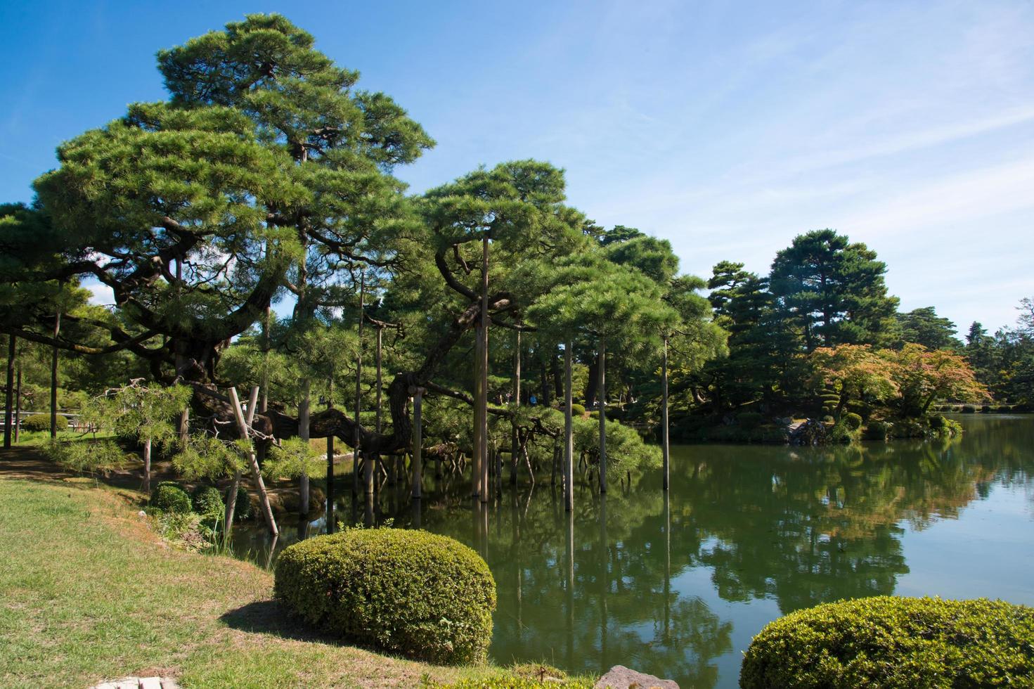 Beautiful japanese garden in Kanazawa. Trees near the lake. Sunny day. Japan, photo