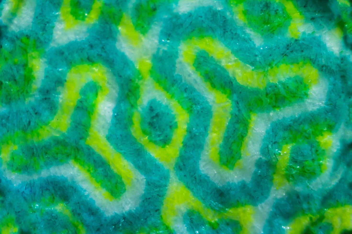 Textura de tela de patrón verde abstracto en factura de dinero israelí de 50 shekel bajo el microscopio foto