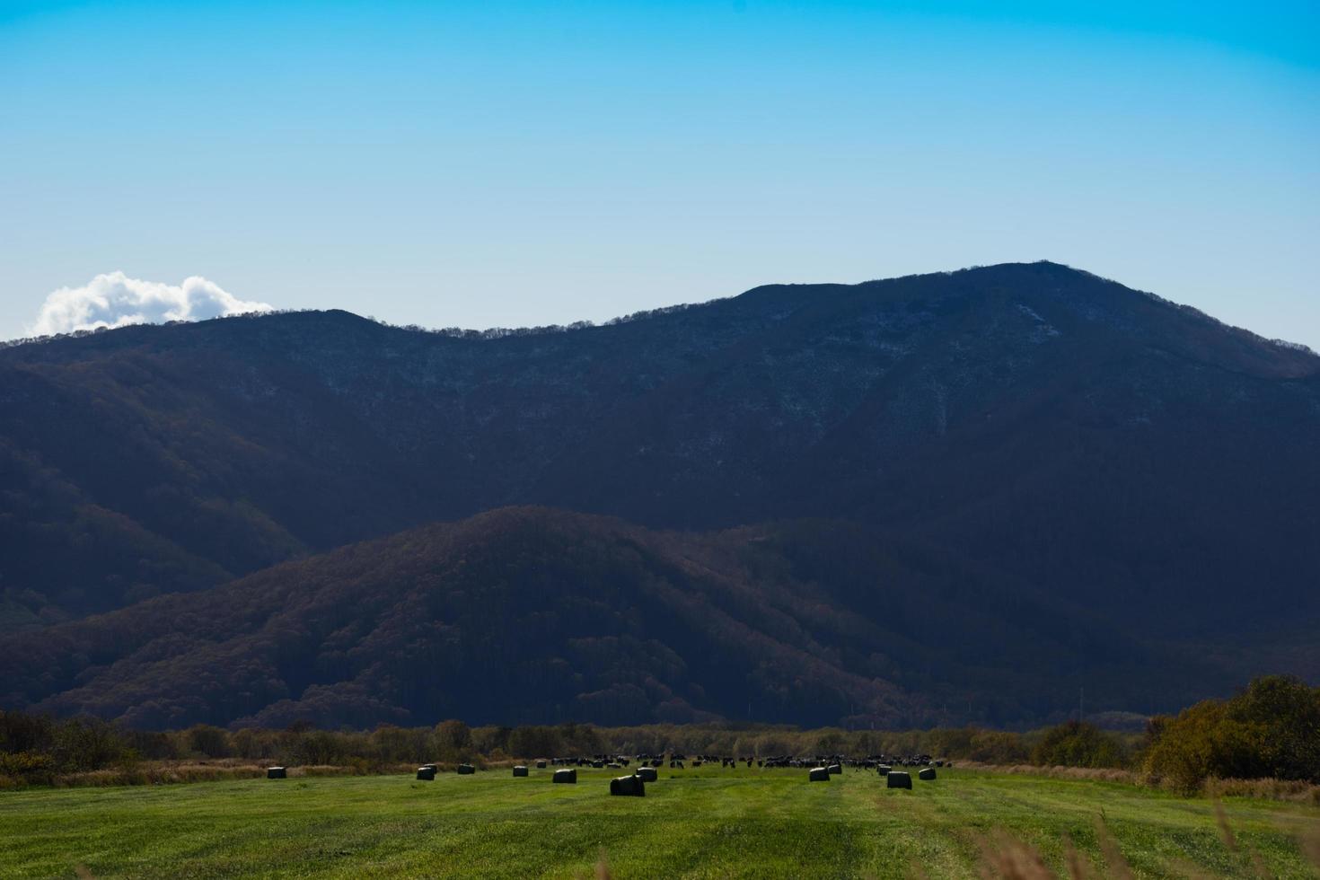 paisaje natural con un campo en el fondo de las montañas. foto