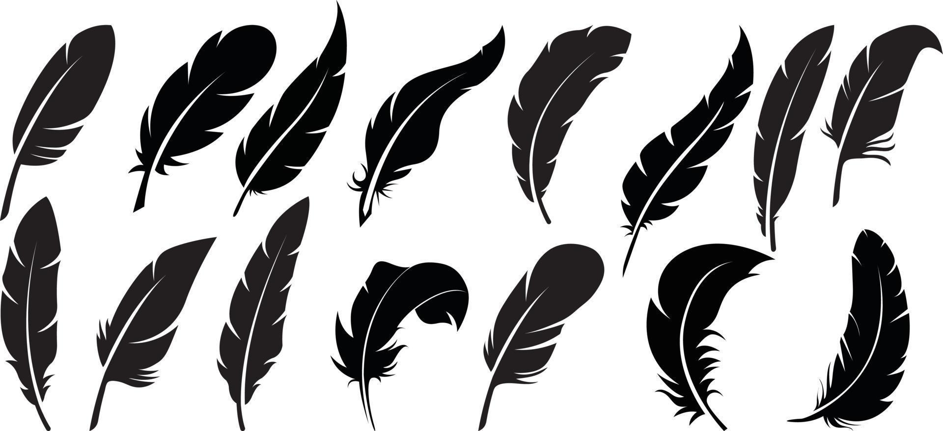 Feathers dark black sketch design vector