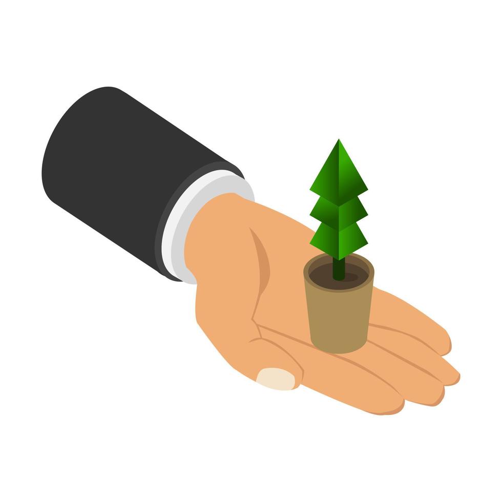Plant in isometric hand vector