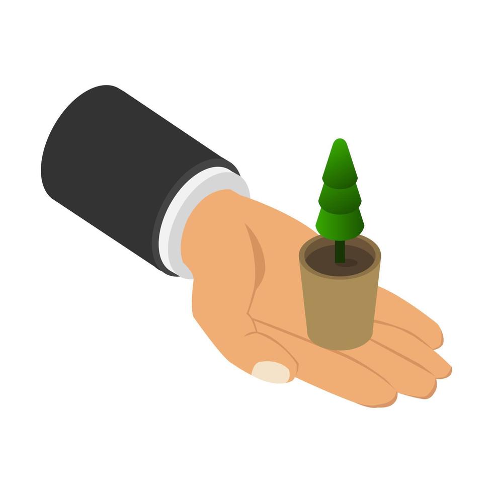 Plant in isometric hand vector