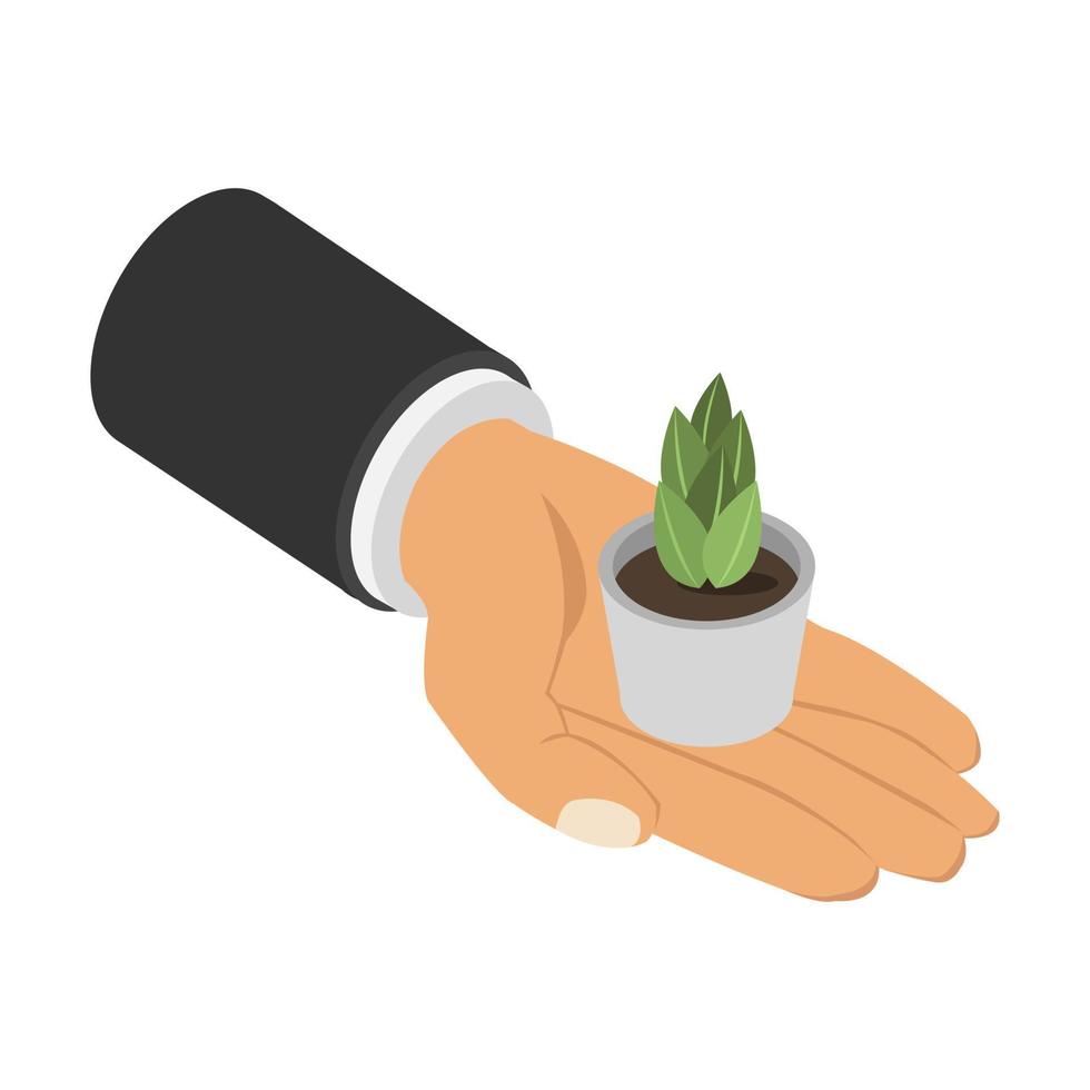 Plant in isometric hand vector