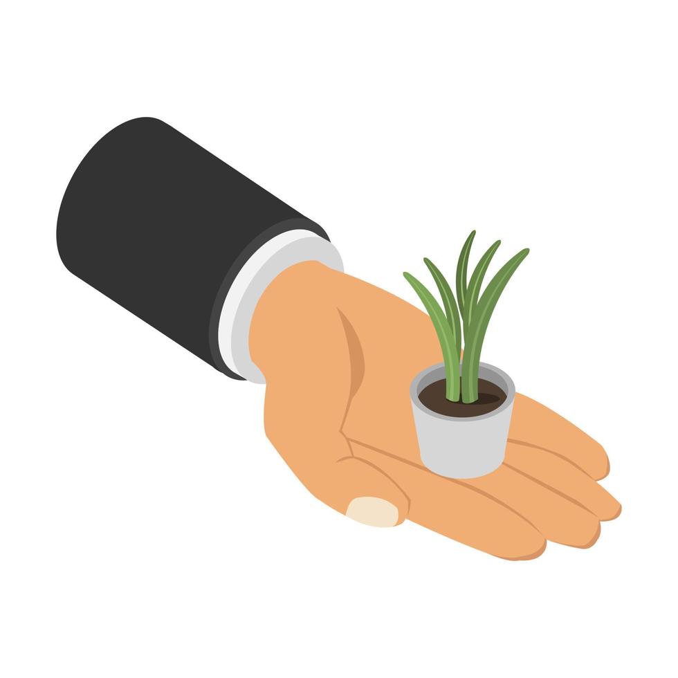 Plant in isometric hand vector