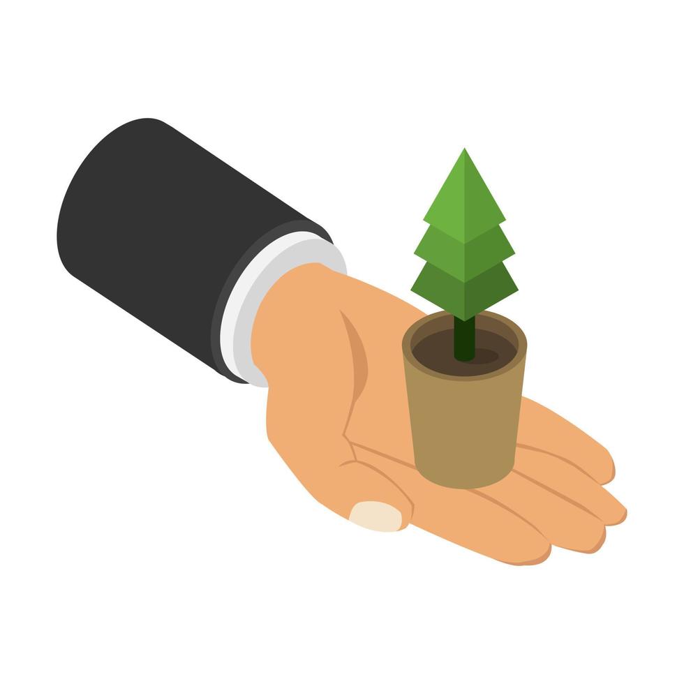 Plant in isometric hand vector