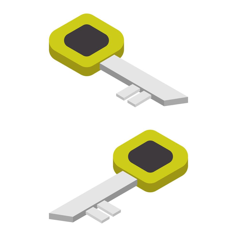 Isometric key on a white background vector