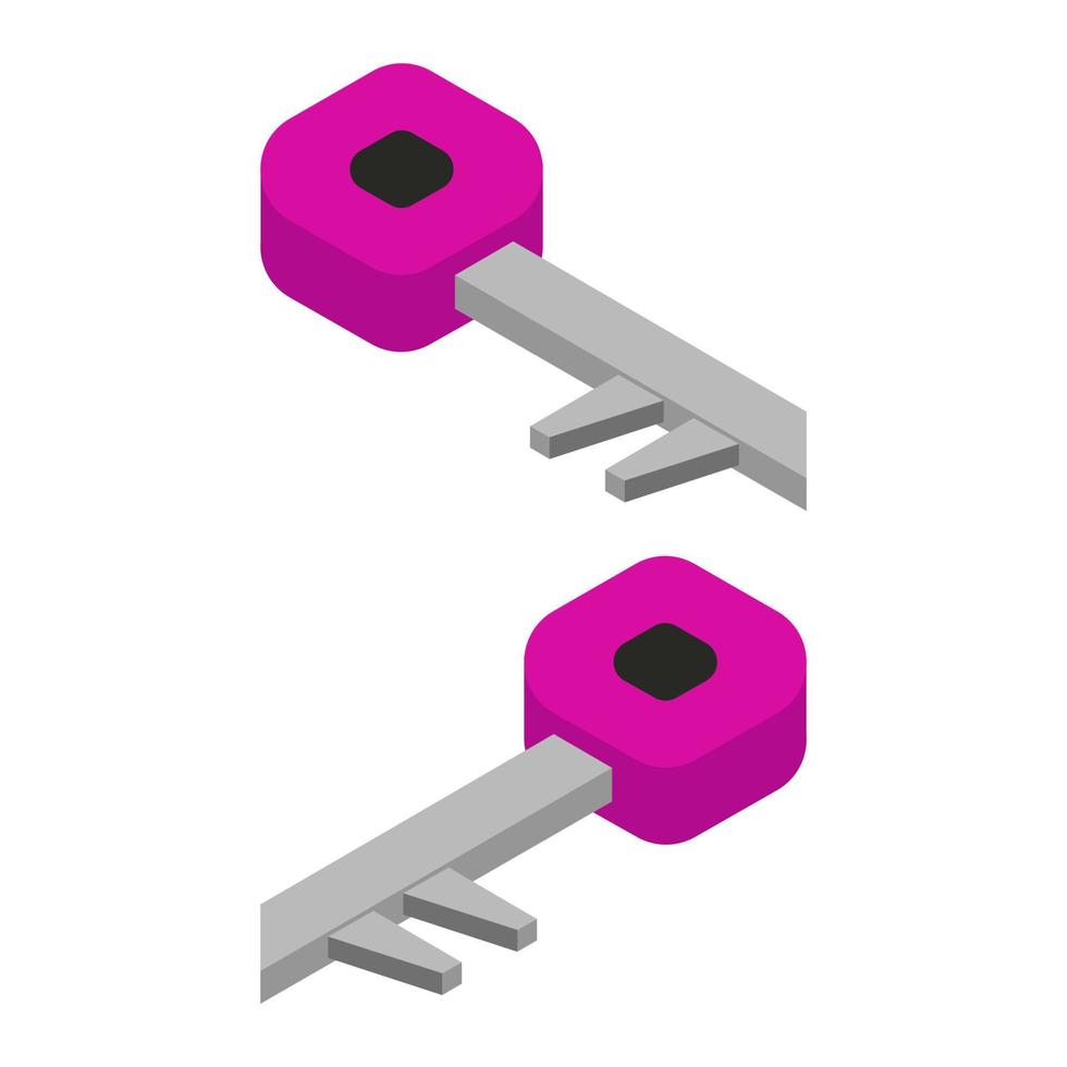 clave isométrica sobre un fondo blanco vector