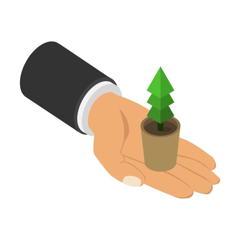 Plant in isometric hand vector