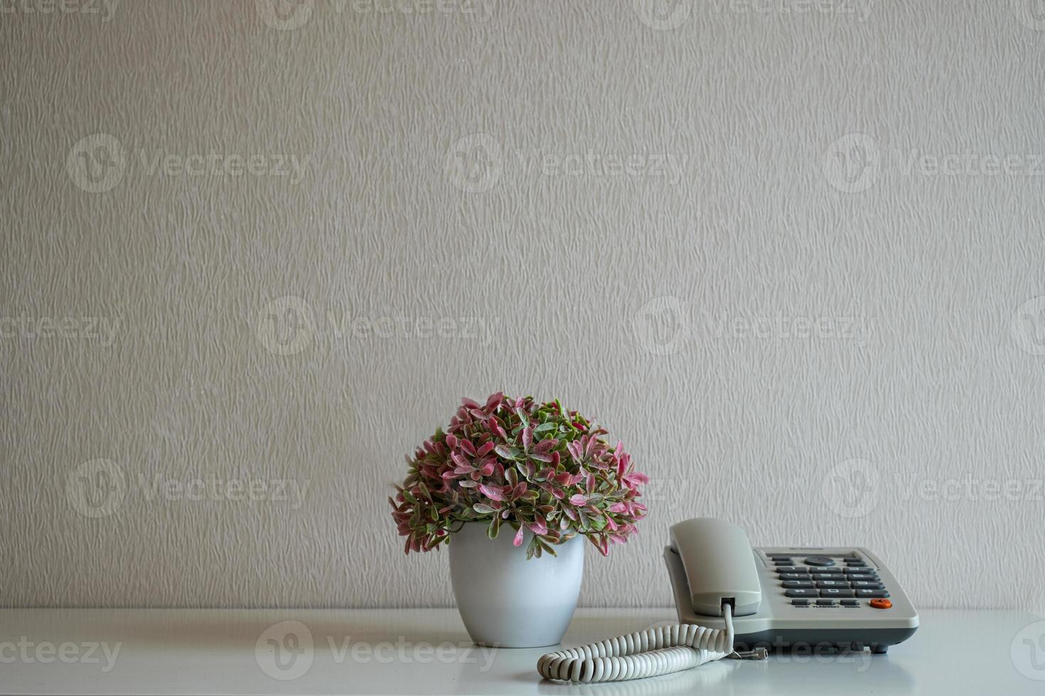 Telephone and flower pot on the desk at gray wall background photo