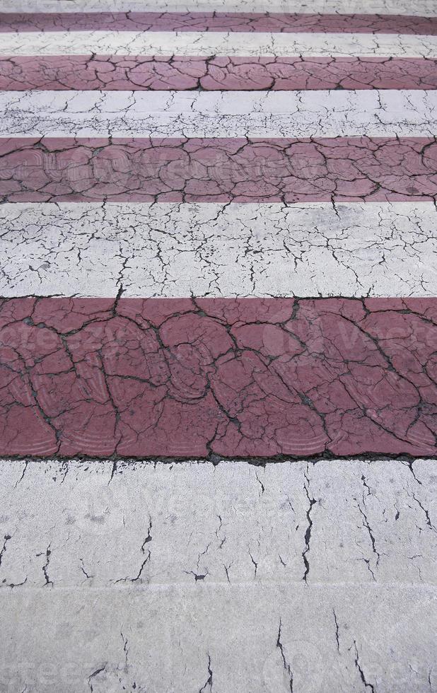 Zebra crossing on the asphalt photo