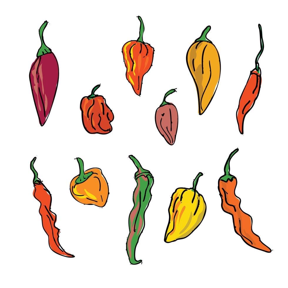 Colección o conjunto de diferentes dibujos de chiles picantes. vector