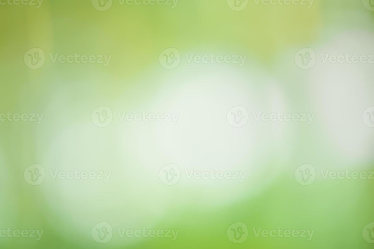 Organic and natural concept. Natural green defocus light nature abstract background. photo