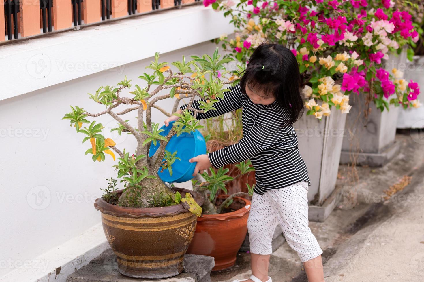 linda chica con una camisa a rayas en blanco y negro está usando un recipiente azul para regar las plantas en una maceta frente a su casa. niño ayudando con las tareas del hogar. niños de 3 a 4 años. foto