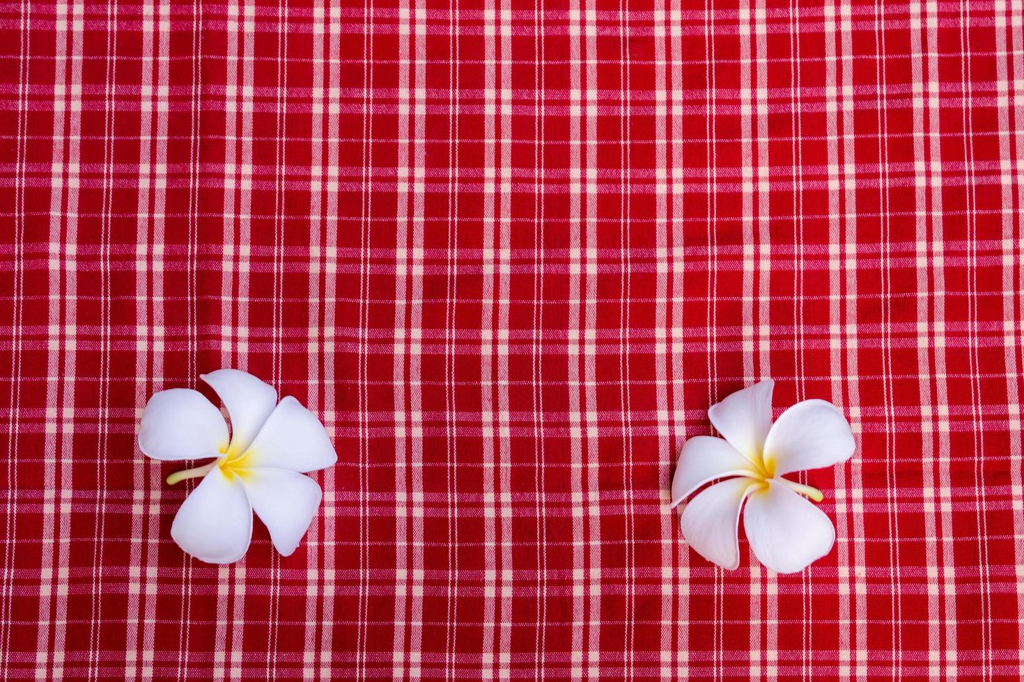 Yellow white plumeria flowers on a red plaid cloth background. Copy space. photo