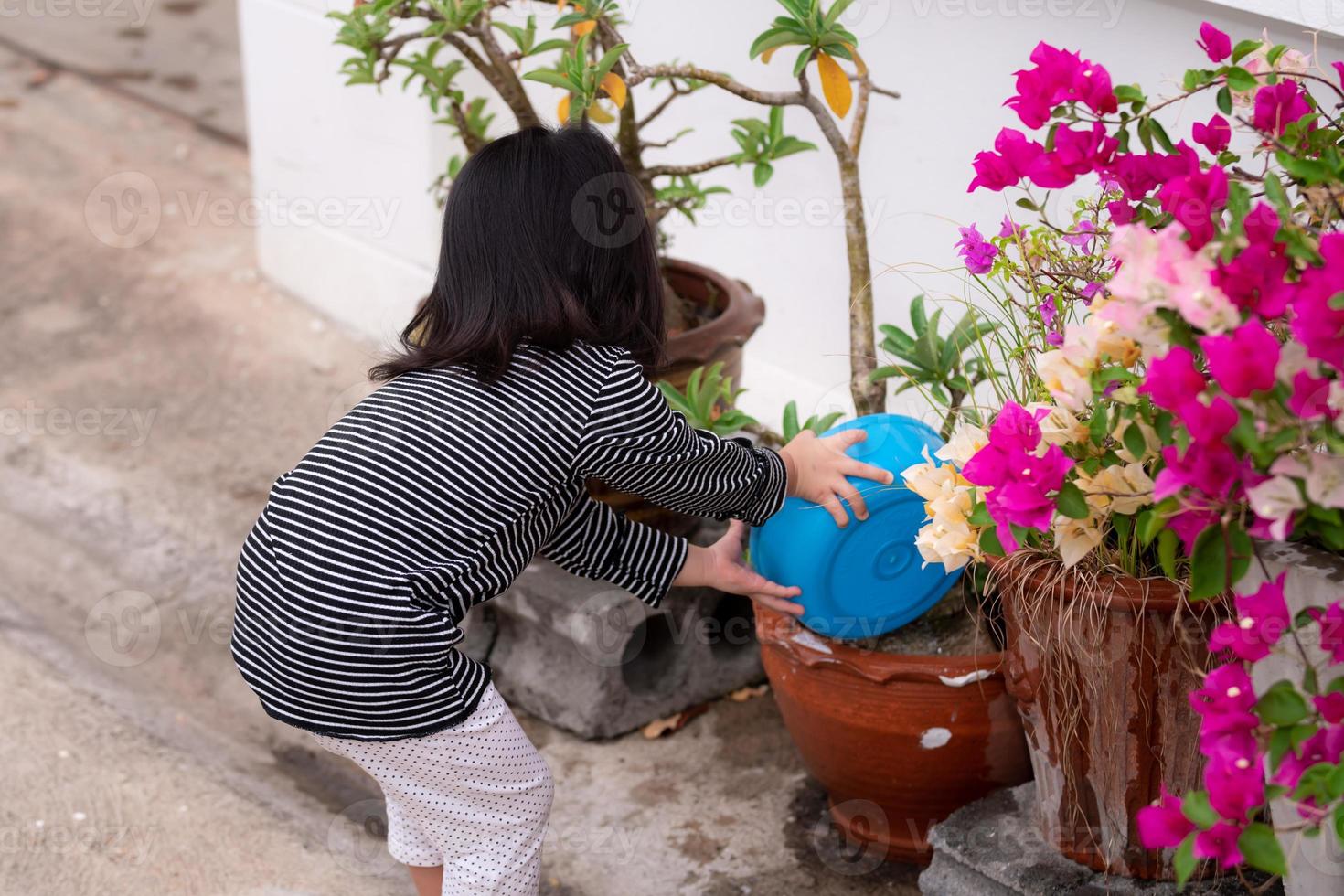 Vista trasera de la flor de riego de la muchacha asiática en la maceta del árbol en su casa con tazón azul. niños diligentes que ayudan a sus padres con las pequeñas tareas del hogar. foto