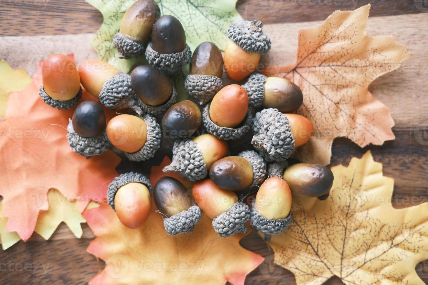 autumn maple dried leaves, acorns on table . photo