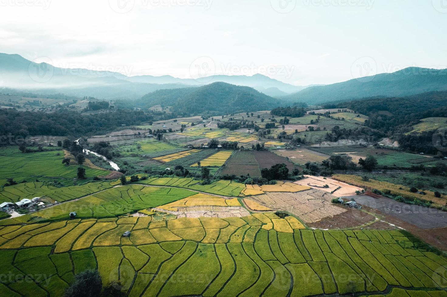 campos de arroz verde y agricultura vista de ángulo alto foto