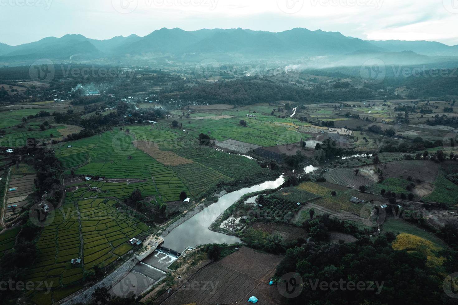 Green rice fields and farming high angle view photo