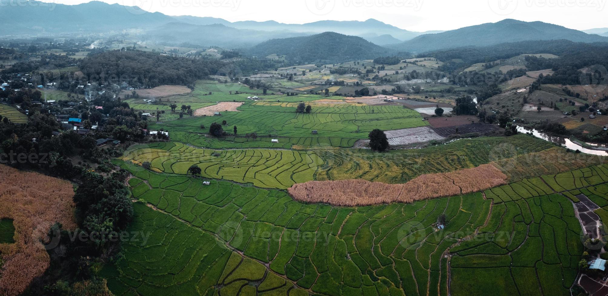 campos de arroz verde y agricultura vista de ángulo alto foto