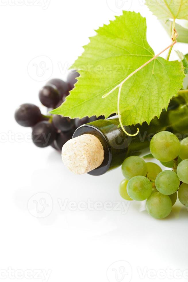 vino y uva aislado foto