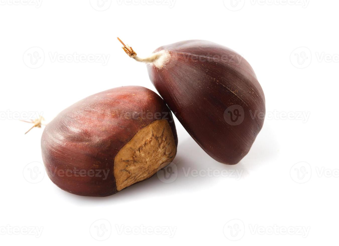 Chestnuts isolated on white photo