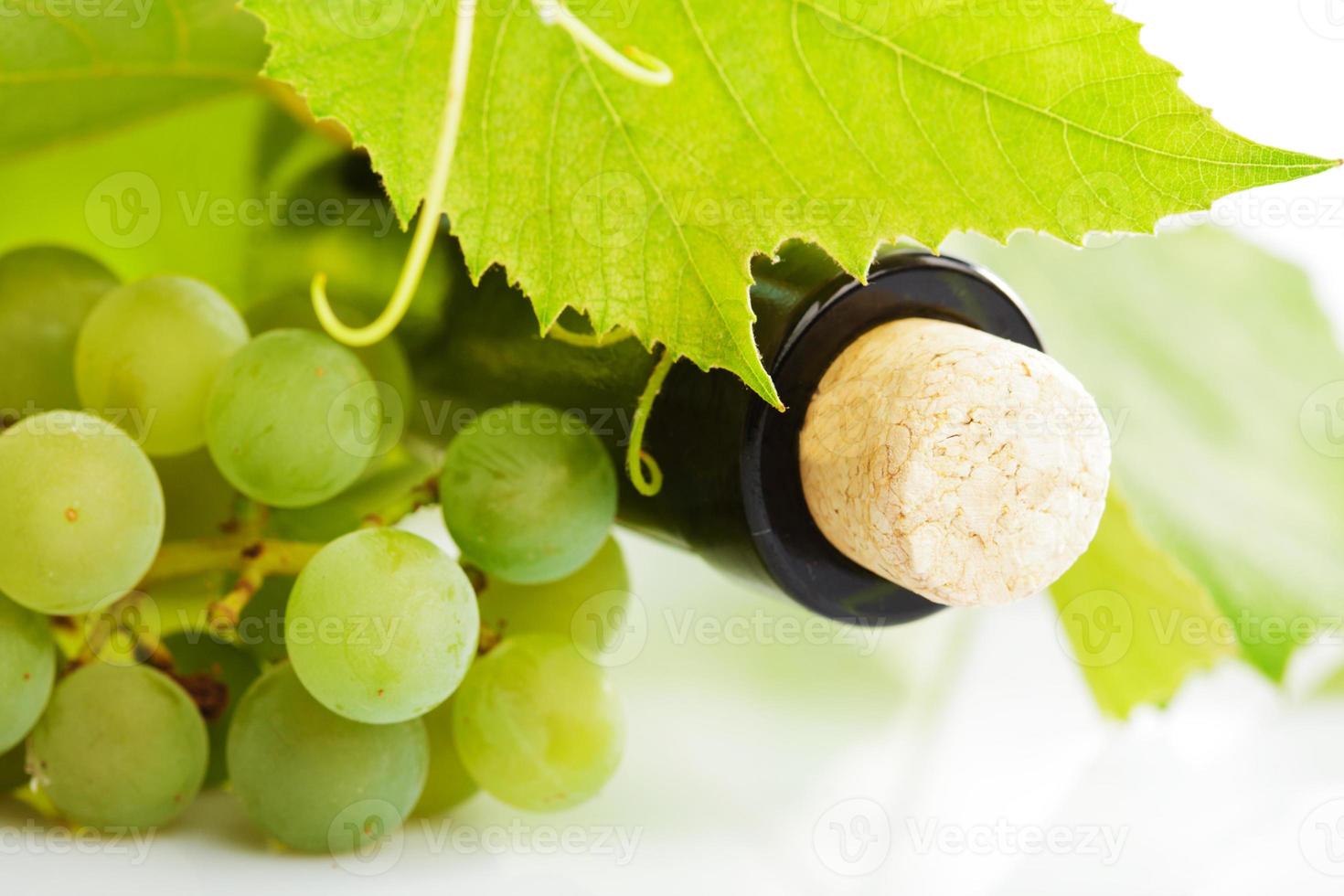 Wine and grape isolated photo