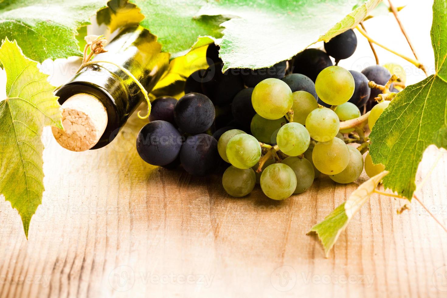Wine and grape photo