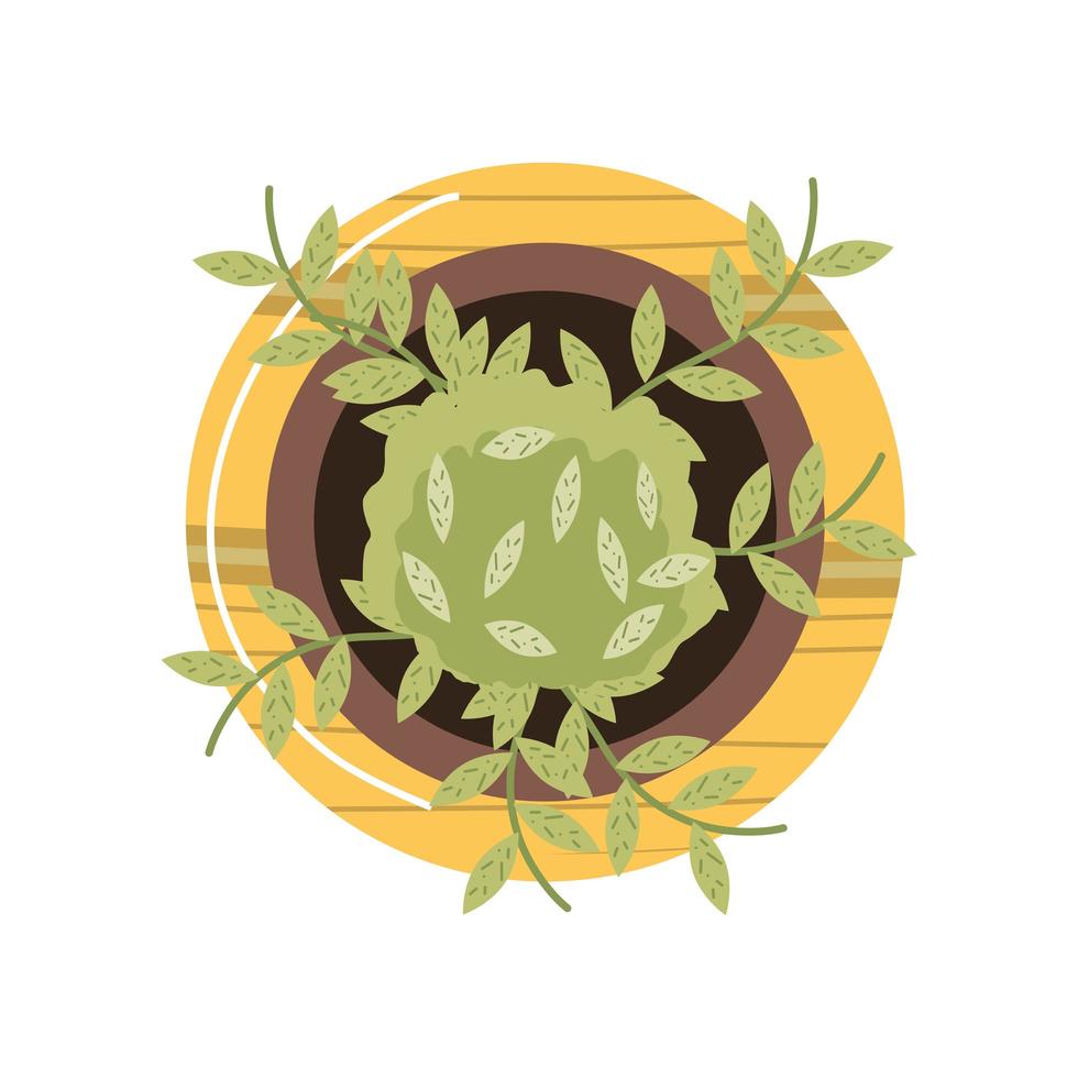 top view home garden potted plant on table vector