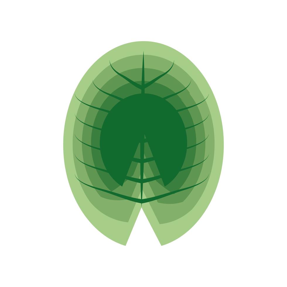 lotus leaf natural vector