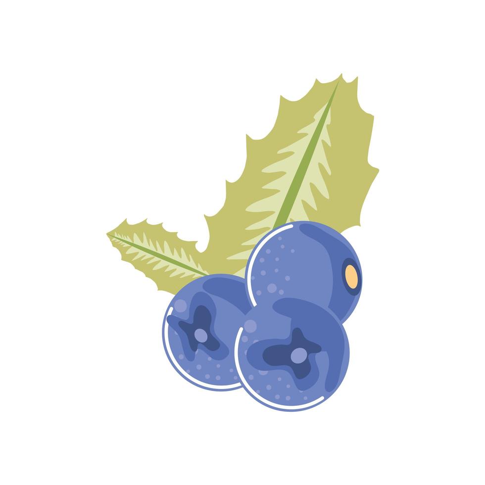 blueberry fresh fruit icon isolated style vector