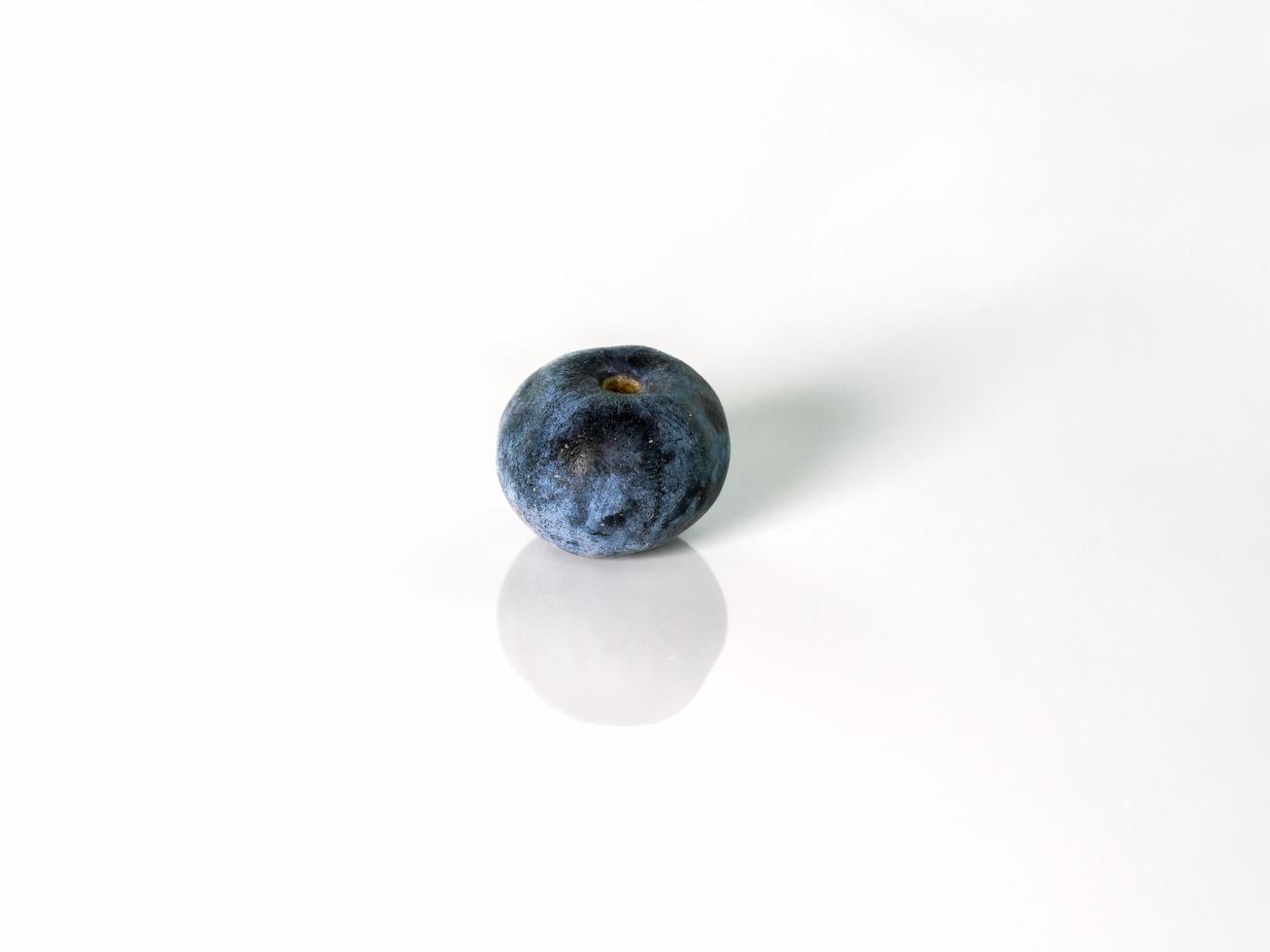 Blueberry on a white background. Blueberry on a white background. Full depth of field photo