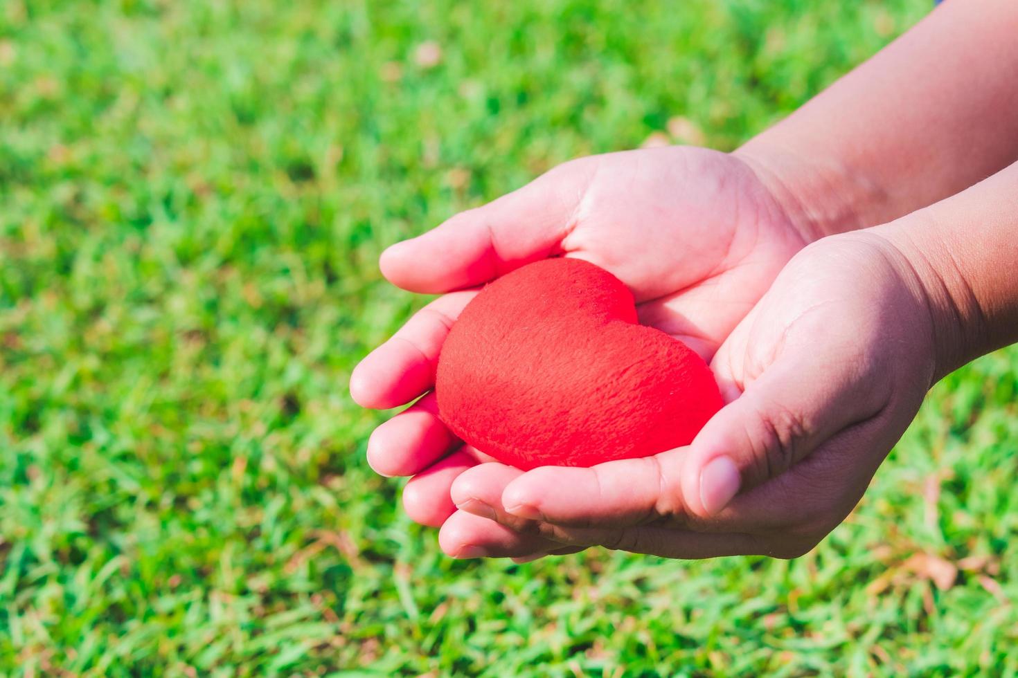 una mano humana abraza un corazón rojo. concepto que cuida el amor. Fondo de césped verde. foto