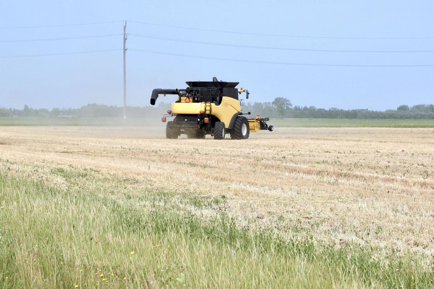 yellow combine cutting a crop photo