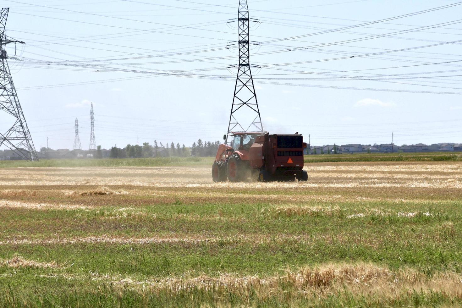 balling hay under power lines photo