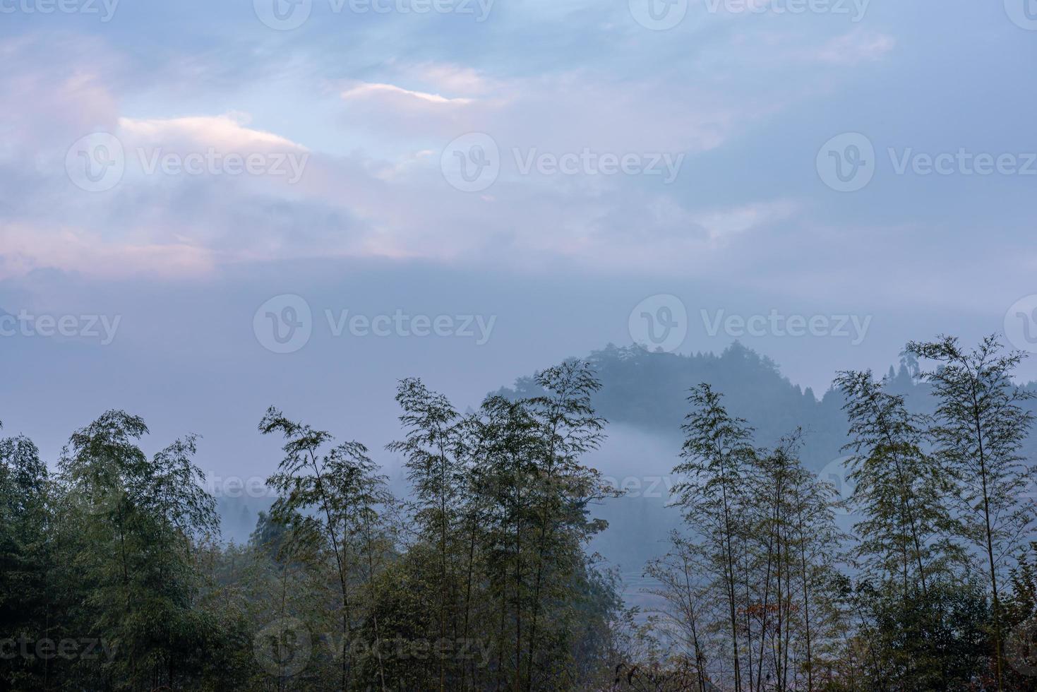 montaña de té y bosque en la niebla de la mañana foto