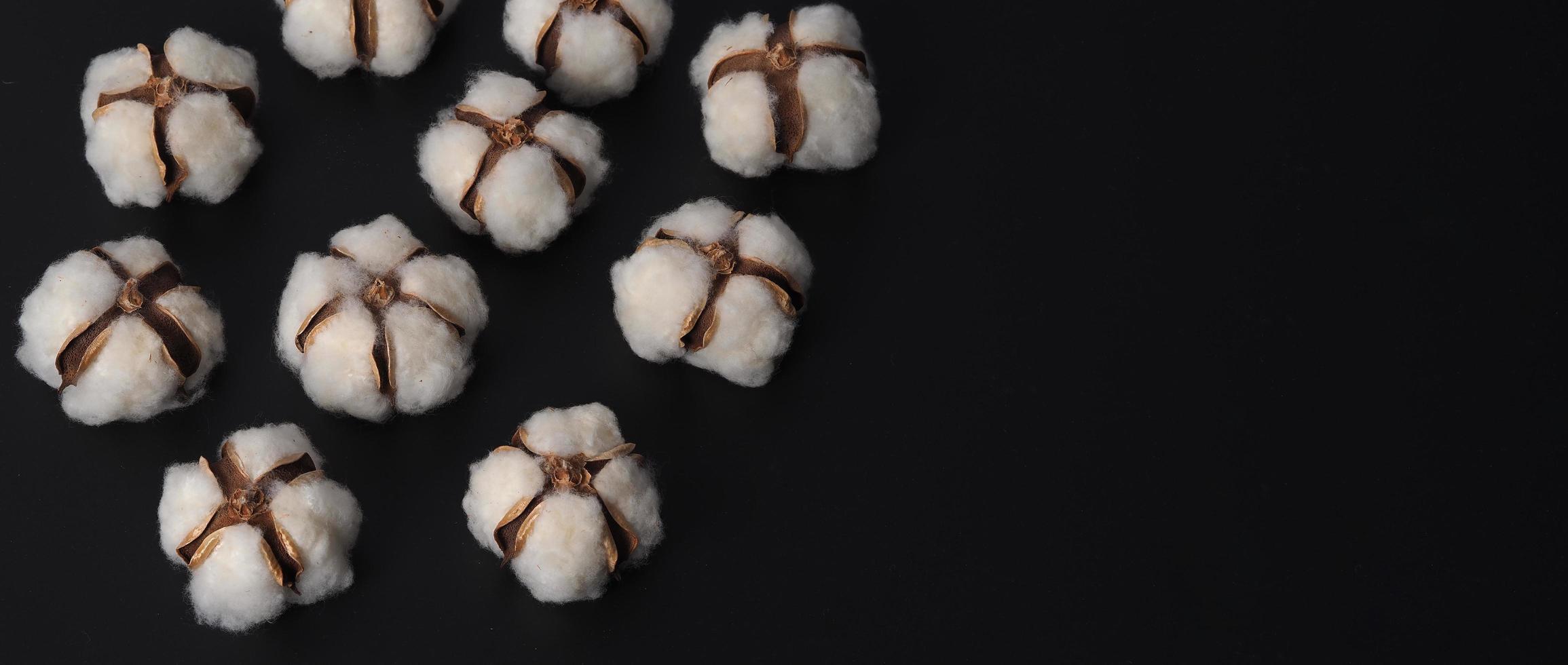 Cotton flowers isolated on black background. photo