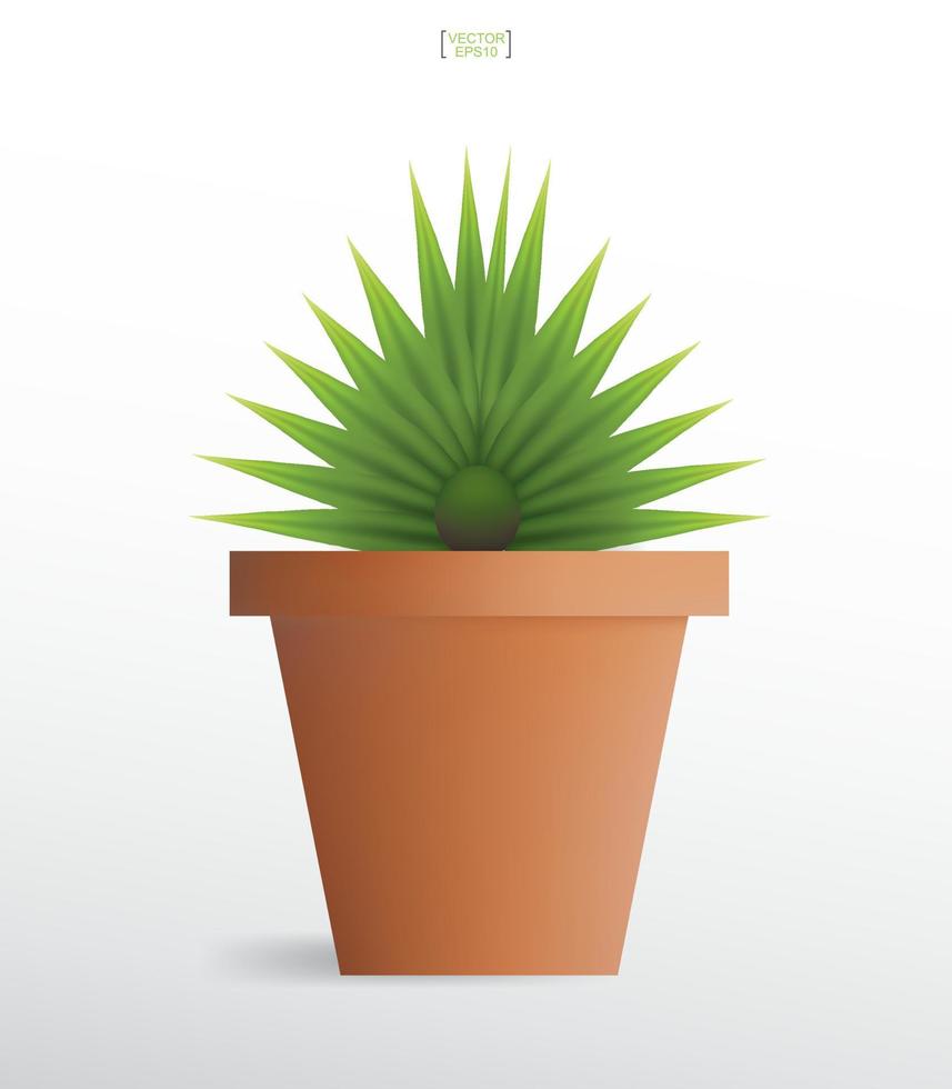 Decoration plants in flower pot. Small tree. Natural object idea for interior design and decoration. Vector. vector