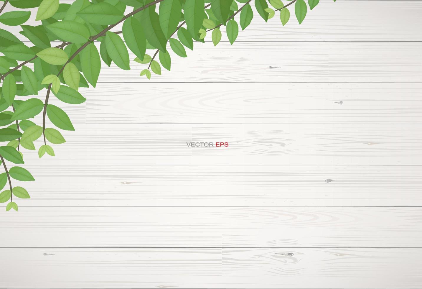 Wood texture background with green leaves.  Vector illustration.