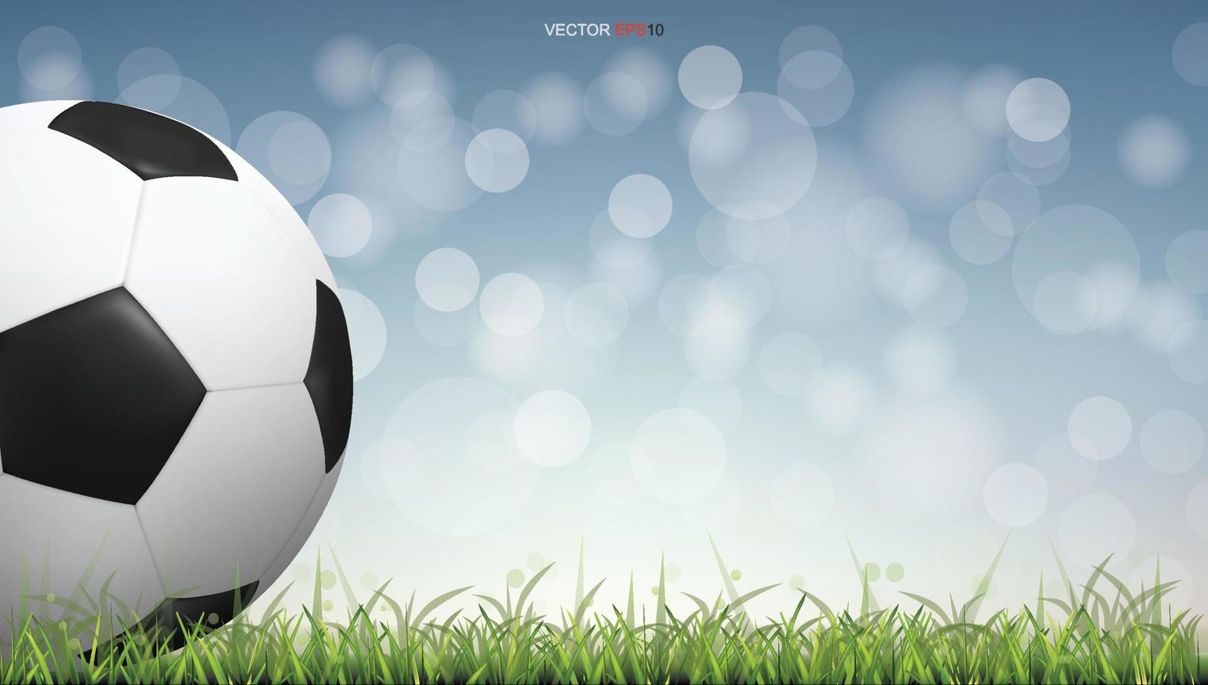 Soccer football ball on green grass field with light blurred bokeh background. Vector. vector